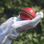 IND vs AFG 3rd T20: What’s the Best Live Score Update?
