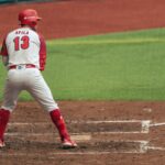 Senior batters performance: Litton’s urgent call to action